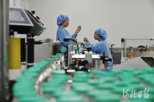 创新之路 技术开发的灵魂与引擎